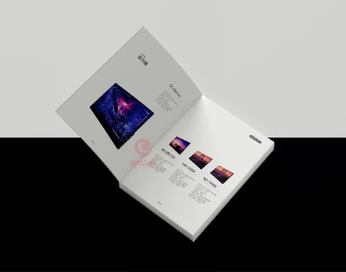 一希品牌設(shè)計(jì) 電器產(chǎn)品與網(wǎng)絡(luò)技術(shù)服務(wù)一體化畫冊宣傳冊設(shè)計(jì)